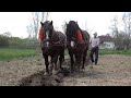 La munca pamantului cu caii - Ionut de la Somes Uileac, Maramures - 2022 Nou!!!