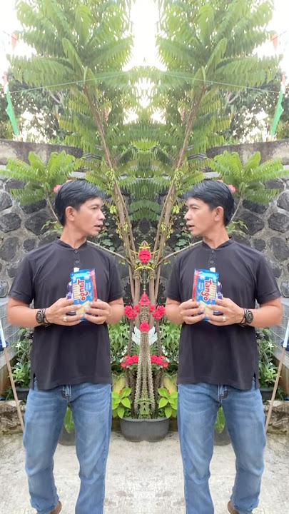 Kok samaan kayak aku  #funny  #comedy  #trending  #memengakakkocak  #shotrs