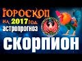 Скорпион 2017. Все о скорпионах в 2017 году. Гороскоп на Новый 2017 год