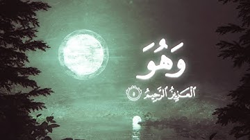 تلاوة هادئة تجعلك تشعر بالسكون والراحة النفسية