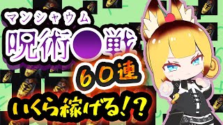 マンシャウム呪術●戦！！60連でいくら稼げる！？？【黒い砂漠】