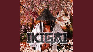 Tman Xpress  Lowbass Djy  Impi Eza Ngobuso  