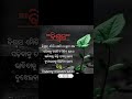 Odia Motivation | Life Change Speech | Success Tips in Odia