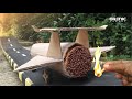 Download Lagu EXPERIMENT ROCKET CAR DUS DRAG MATCHES FUEL▪️WOW MOBIL ROKET KARDUS BAHAN BAKAR KOREK API??