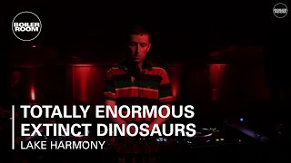 Totally Enormous Extinct Dinosaurs Boiler Room Ray-Ban x Boiler Room Weekender | DJ Set