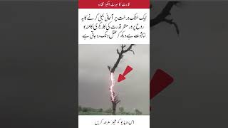 Lightning strikes a dry tree spectacularly#islamicvideo #islamicshorts #islamicknowledg #fyp #unfrez