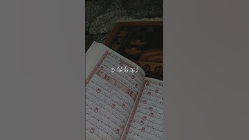 #سورة الأخلاص #اكسبلور #لايك #ترند #المصحف #تيك_توك