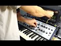 Moog Sub Phatty + Roland RE-201 Space Echo