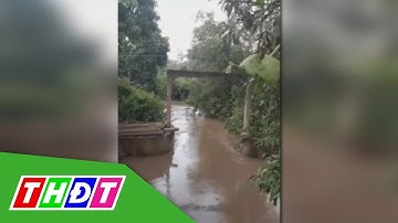 Xả cống thoát nước gây ngập vườn cây ăn trái ở huyện Cao Lãnh | THDT