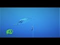 Yo zuri bonita trolling for wahoo underwater footage waterwolf yozuri