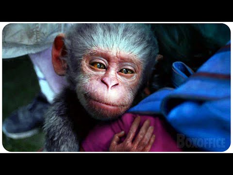 DORA AND THE LOST CITY OF GOLD Best Action Scenes 4K ᴴᴰ