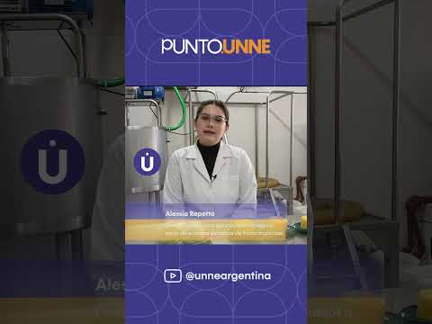 Cheeses Made From Tropical Fruits UNNE Point E74 