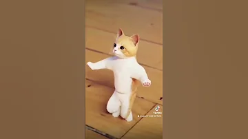 يما قاسم يما يما يما قاسم يما يما قاسم يما قاسم يما يما يما يما قاسم يما يما قاسم يما يما قاسم يما 