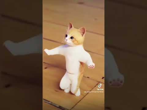 يما قاسم يما يما يما قاسم يما يما قاسم يما قاسم يما يما يما يما قاسم يما يما قاسم يما يما قاسم يما