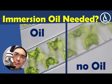? How important is IMMERSION OIL for microscopy?