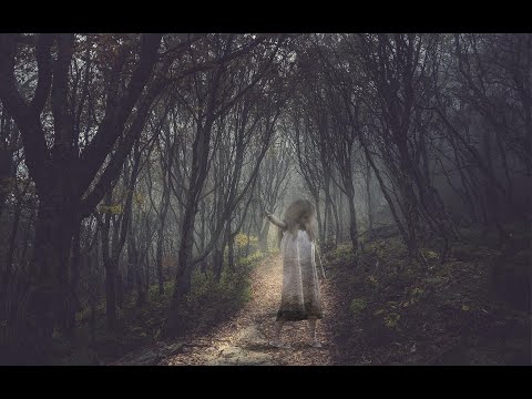 BOSQUES EMBRUJADOS MEXICANOS - YouTube
