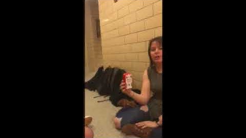 The Duck Echo Project (Lyman Briggs Physics Mythbusters)