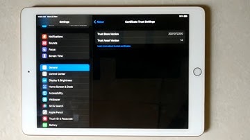 Hoe u de certificaatvertrouwensinstellingen op de iPad kunt vinden