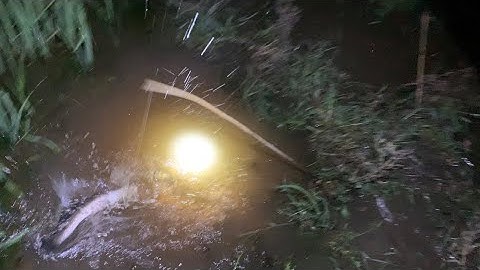 Cắm Câu Cá Lóc Mùa Nước Ngập Trên Quê Tôi