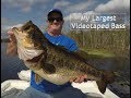 Shiner Fishing For Monster Bass In Northeast Florida