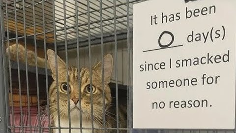 [6:24] DH - gloves =/= backpack