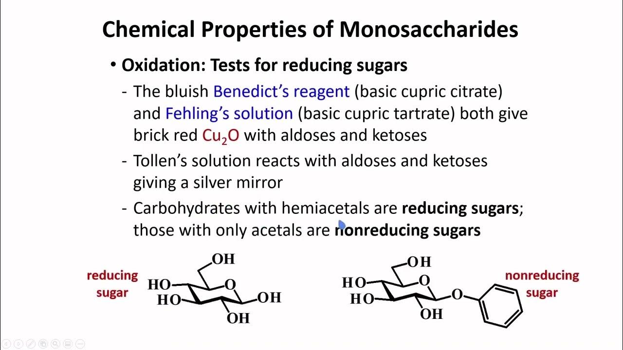 Chemical Properties of Monosaccharides │ Carbohydrates │ Organic