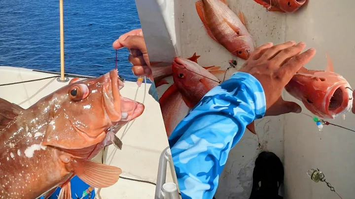 I Was Targeting Red Snapper... But Then This Happened!