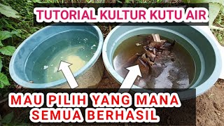 cara kultur kutir dengan 2 metode
