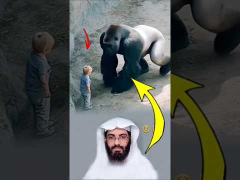 الحيوان الذي يخافه الجميع قد يكون أرحم من إنسان تجرد قلبة من الرحمة لايك اكسبلور