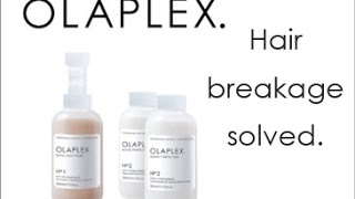 SALON CENTRIC & COSMOPROF HAUL! (Olaplex, Redken, It's a 10!)