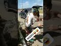 راني مكيزز ههههه وراني مكيززز