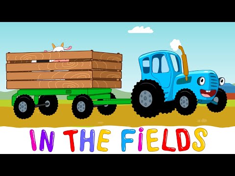IN THE FIELDS