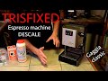 GAGGIA CLASSIC DESCALING. How I descale my espresso machine