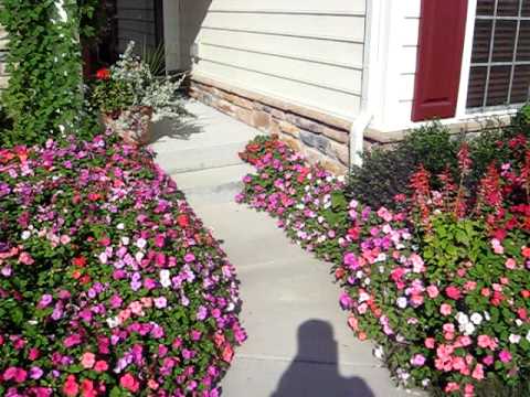 Impatients Lined Walkway