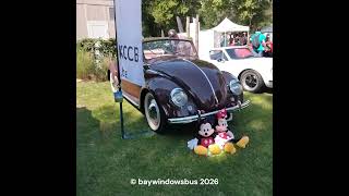 aircooled wanroij 2026 #shorts 5 aircooled wanroij 2026 #shorts 5