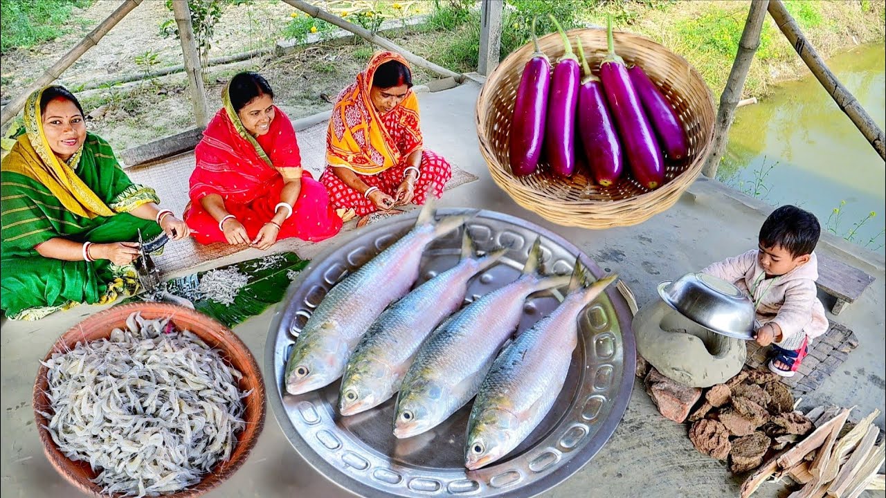 বেগুন দিয়ে ইলিশ মাছ রান্না সাথে চিংড়ি মাছ বাটা দিয়ে গরম গরম ভাত খাওয়া 