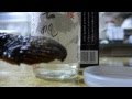 (黄桜)ふぐひれ酒 ワンカップ
