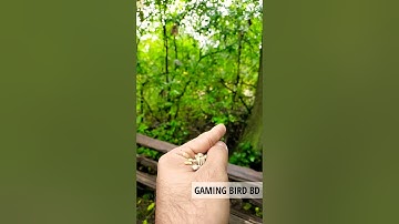 The perfect loop 🎯.#perfectloop #shorts #looping #loopit