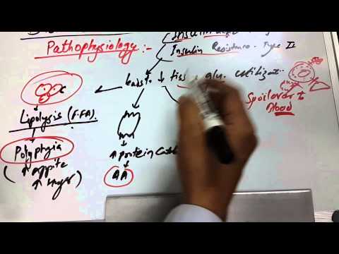 diabetes-mellitus-3-of-6-(pathophysiology)