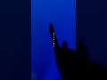 #殺文句 / #ThisisLAST #LIVE