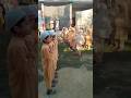 اسکول اسمبلی ک"#SchoolDays #AssemblyMemories #SchoolLife #تعلیم #اسکول #یادیں#AdmissionsOpen#Admissi