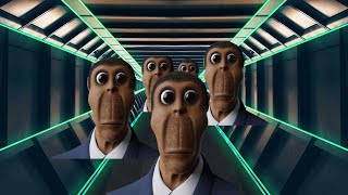 We can run ... but we can't hide from Obunga