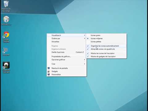 Vídeo: Com Organitzar Les Icones