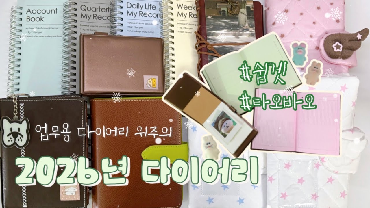 2026년 다이어리📕 타오바오에서 선택한 나의 뉴 다이어리 (열일을 위한...)