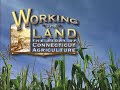 Working the Land: The Story of Connecticut Agriculture