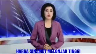 Sinamot boru batak  semakin naik