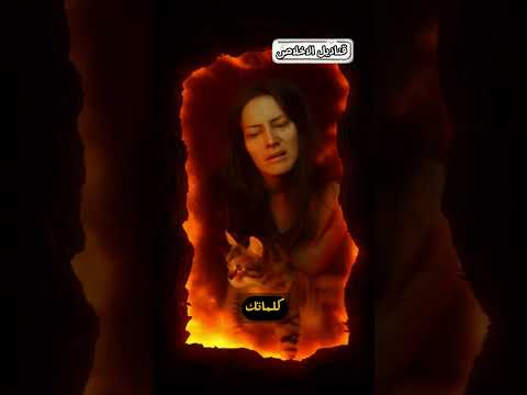 رد النبي ﷺ على شاب طلب الزنا سيصدمك قناة قناديل الاخلاص  