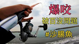 沙腸魚之亂！每丟必中前所未見！釣到嘴巴都合不起來了 ... 