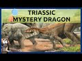 Triassic Mystery Dragon (Smok wawelski)