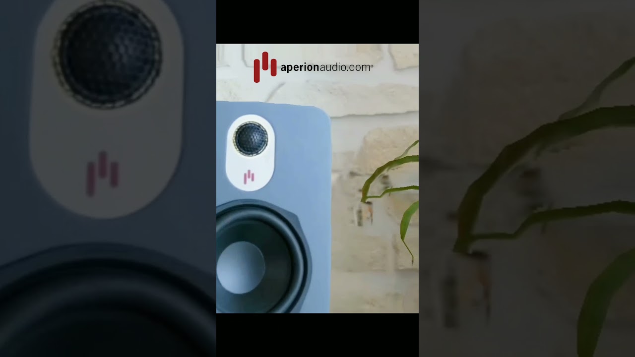 Aperionaudio Novus 5B 5.25" 2-Way Bookshelf Speaker